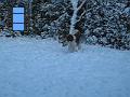 2009-12-19 15 M